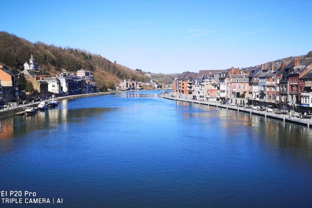 Vue Sur Meuse Avec Jacuzzi Et Sauna Exterieur. Yvoir Zewnętrze zdjęcie