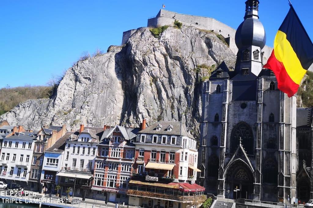 Vue Sur Meuse Avec Jacuzzi Et Sauna Exterieur. Yvoir Zewnętrze zdjęcie